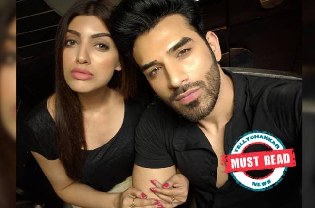 Akanksha Puri’s CRYPTIC post after Paras Chhabra’s claims on her being